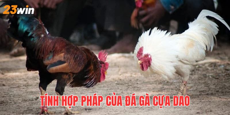 23win Đá Gà Cựa Dao
